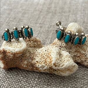 Silver and Turquoise Women's Earrings